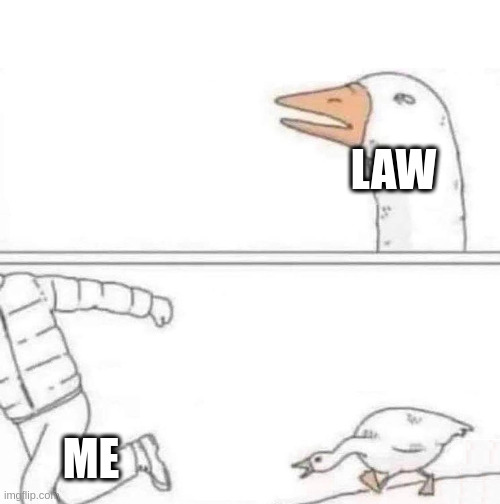 law | LAW; ME | image tagged in goose chase | made w/ Imgflip meme maker