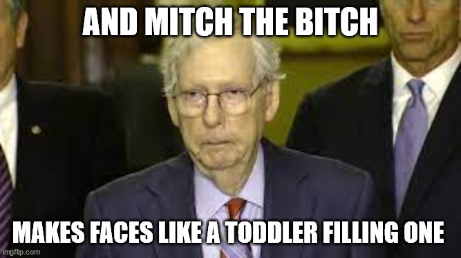 AND MITCH THE BITCH MAKES FACES LIKE A TODDLER FILLING ONE | made w/ Imgflip meme maker