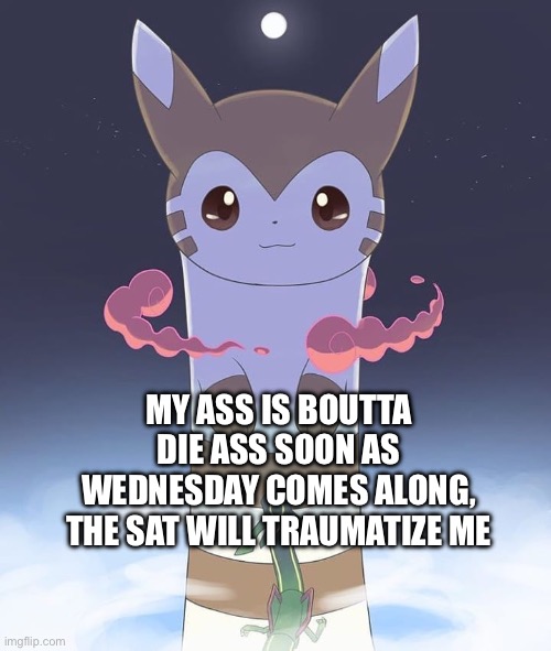 4 hours staying inside the classroom with just an iPad and paper and pencil | MY ASS IS BOUTTA DIE ASS SOON AS WEDNESDAY COMES ALONG, THE SAT WILL TRAUMATIZE ME | image tagged in giant furret | made w/ Imgflip meme maker