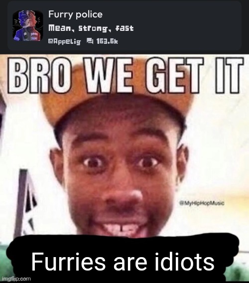 Furries are idiots | image tagged in bro we get it blank | made w/ Imgflip meme maker