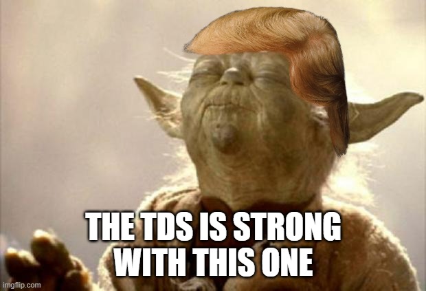 The TDS is Strong with This One | THE TDS IS STRONG
WITH THIS ONE | image tagged in trump derangement syndrome,presidential election,star wars,border wall,illegal immigrants,liberal college girl | made w/ Imgflip meme maker
