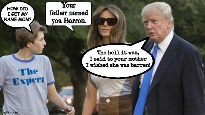 Whoa baby! | HOW DID I GET MY NAME MOM? Your father named you Barron. The hell it was, I said to your mother I wished she was barren! | image tagged in barron trump,melania trump,donald trump,baby names,barren,maga mother | made w/ Imgflip meme maker