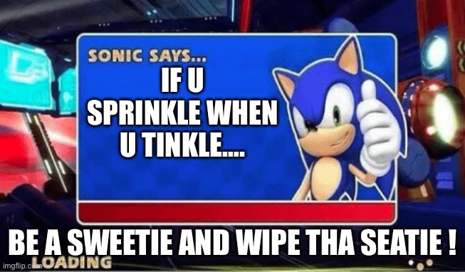 Sonic Says | IF U SPRINKLE WHEN U TINKLE…. BE A SWEETIE AND WIPE THA SEATIE ! | image tagged in sonic says | made w/ Imgflip meme maker