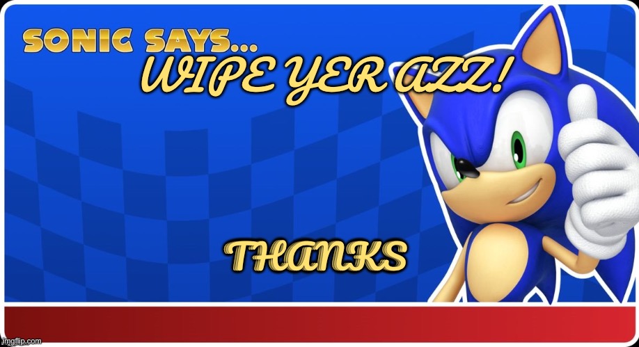 Bathroom sign for those that need reminding | WIPE YER AZZ! THANKS | image tagged in sonic says s asr,sonic says,sonic | made w/ Imgflip meme maker
