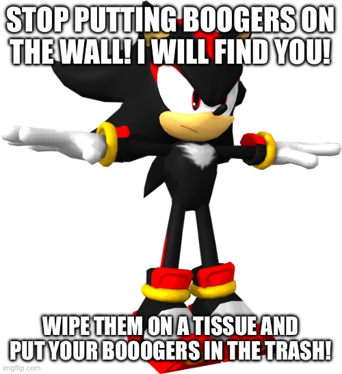 shadow the hedgehog t pose | STOP PUTTING BOOGERS ON THE WALL! I WILL FIND YOU! WIPE THEM ON A TISSUE AND PUT YOUR BOOOGERS IN THE TRASH! | image tagged in shadow the hedgehog t pose | made w/ Imgflip meme maker