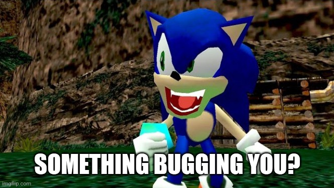 Something bugging you ? | SOMETHING BUGGING YOU? | image tagged in sonic the hedgehog,sonic | made w/ Imgflip meme maker
