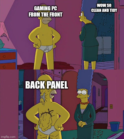 When the wiring appears organized | GAMING PC FROM THE FRONT; WOW SO CLEAN AND TIDY; BACK PANEL | image tagged in homer simpson's back fat | made w/ Imgflip meme maker