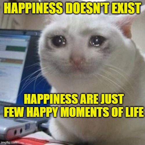 HAPPINESS DOESN'T EXIST HAPPINESS ARE JUST FEW HAPPY MOMENTS OF LIFE | image tagged in crying cat | made w/ Imgflip meme maker