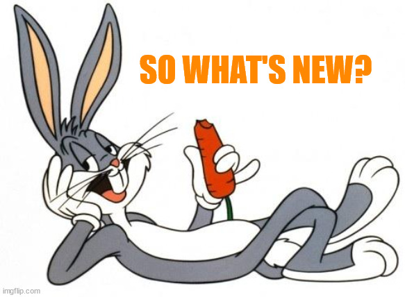 The adventure of bugs bunny | SO WHAT'S NEW? | image tagged in the adventure of bugs bunny | made w/ Imgflip meme maker