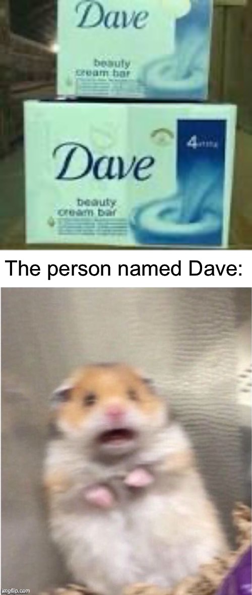 The person named Dave: | image tagged in scared hamster,cursed images | made w/ Imgflip meme maker
