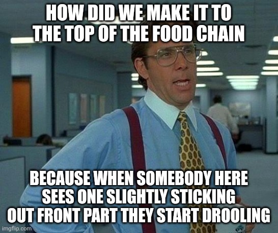 Bruh | HOW DID WE MAKE IT TO THE TOP OF THE FOOD CHAIN; BECAUSE WHEN SOMEBODY HERE SEES ONE SLIGHTLY STICKING OUT FRONT PART THEY START DROOLING | image tagged in memes,that would be great | made w/ Imgflip meme maker