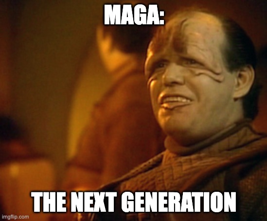 MAGA THE NEXT GENERATION! | MAGA:; THE NEXT GENERATION | image tagged in pakled star trek next generation,dunning-kruger syndrome,every trump voter ever | made w/ Imgflip meme maker