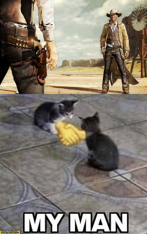 image tagged in cowboy gun showdown,cats shaking hands | made w/ Imgflip meme maker