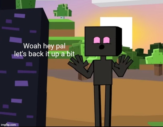 Woah Hey Pal Let's Back It Up A Bit But It's Minecraft | image tagged in woah hey pal let's back it up a bit but it's minecraft | made w/ Imgflip meme maker