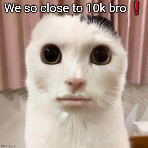 My honest reaction | We so close to 10k bro ❗ | image tagged in my honest reaction | made w/ Imgflip meme maker