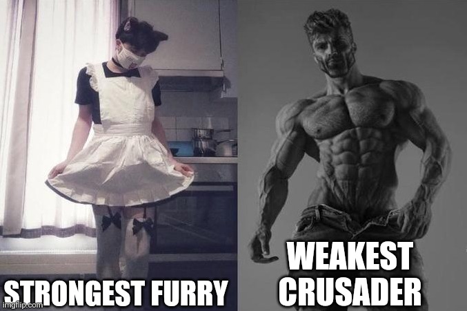 am I wrong? | STRONGEST FURRY; WEAKEST CRUSADER | image tagged in strongest fan vs weakest fan | made w/ Imgflip meme maker