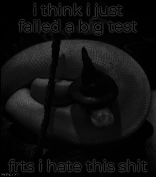 might kill myself, or i might not, time will tell | i think i just failed a big test; frts i hate this shit | made w/ Imgflip meme maker