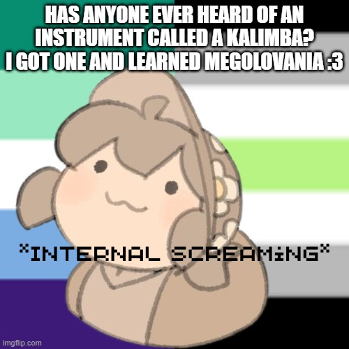 [insert creative title] | HAS ANYONE EVER HEARD OF AN INSTRUMENT CALLED A KALIMBA? I GOT ONE AND LEARNED MEGOLOVANIA :3 | image tagged in yes | made w/ Imgflip meme maker