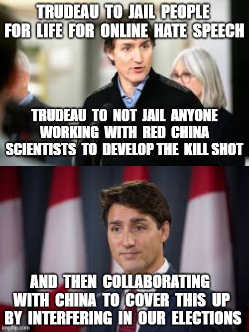 TRUDEAU  TO  JAIL  PEOPLE  FOR  LIFE  FOR  ONLINE  HATE  SPEECH; TRUDEAU  TO  NOT  JAIL  ANYONE  WORKING  WITH  RED  CHINA  SCIENTISTS  TO  DEVELOP THE  KILL SHOT; AND  THEN  COLLABORATING  WITH  CHINA  TO  COVER  THIS  UP  BY  INTERFERING  IN  OUR  ELECTIONS | image tagged in justin trudeau,trudy,winnipeg lab,election interference | made w/ Imgflip meme maker