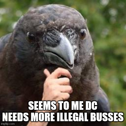 Seems Accurate | SEEMS TO ME DC NEEDS MORE ILLEGAL BUSSES | image tagged in seems accurate | made w/ Imgflip meme maker