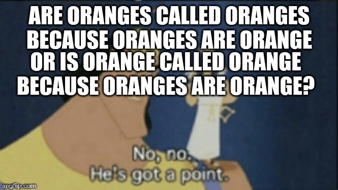 did you just say orange 8 times in a sentence and it actually makes sense? | ARE ORANGES CALLED ORANGES BECAUSE ORANGES ARE ORANGE; OR IS ORANGE CALLED ORANGE BECAUSE ORANGES ARE ORANGE? | image tagged in no no hes got a point | made w/ Imgflip meme maker