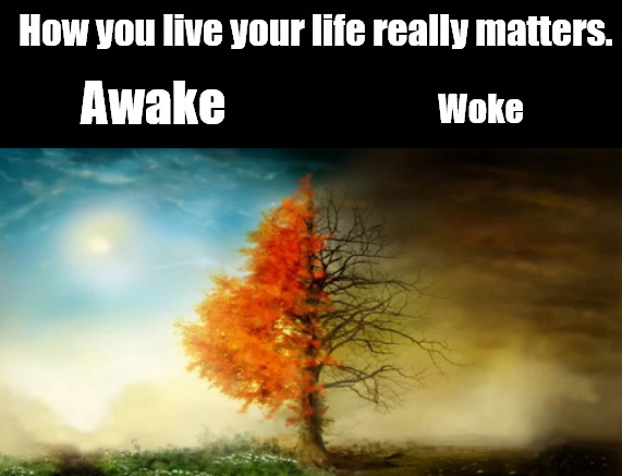 Woke is Broken. Stay Awake. | How you live your life really matters. Woke; Awake | image tagged in memes,politics,woke,awake | made w/ Imgflip meme maker