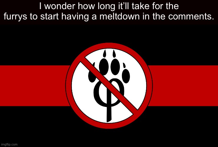 anti furry flag | I wonder how long it’ll take for the furrys to start having a meltdown in the comments. | image tagged in anti furry flag | made w/ Imgflip meme maker