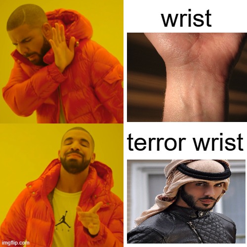 dumb thoughts#1 | wrist; terror wrist | image tagged in memes,drake hotline bling | made w/ Imgflip meme maker