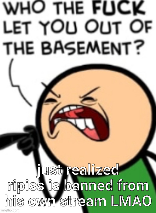 who the fuck let you out of the basement | just realized ripiss is banned from his own stream LMAO | image tagged in who the fuck let you out of the basement | made w/ Imgflip meme maker