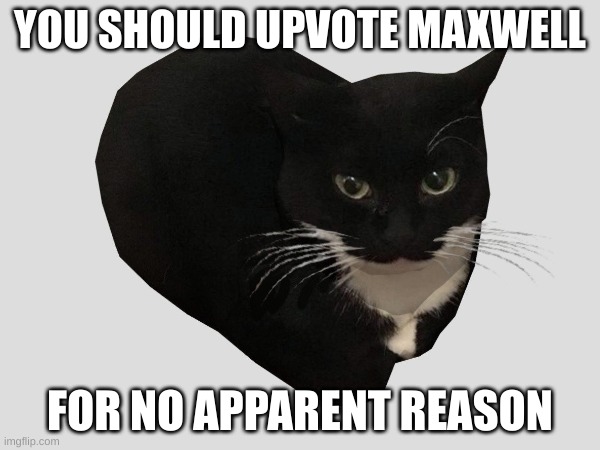 maxwell | YOU SHOULD UPVOTE MAXWELL; FOR NO APPARENT REASON | image tagged in maxwell,upvote,meme,funny | made w/ Imgflip meme maker