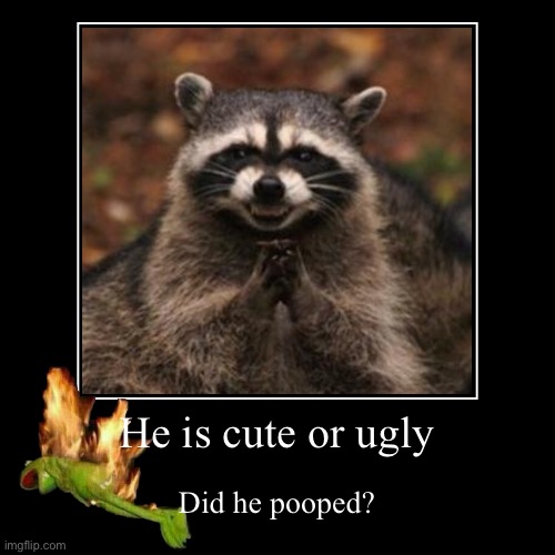 Is he cute? | He is cute or ugly | Did he pooped? | image tagged in funny,demotivationals | made w/ Imgflip demotivational maker