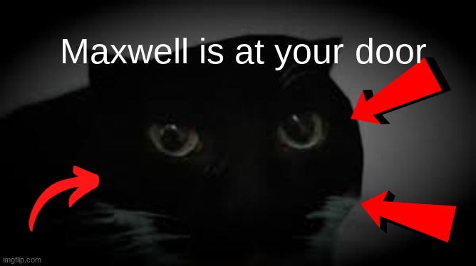 pee | Maxwell is at your door | image tagged in funny,fun,cat,cats | made w/ Imgflip meme maker
