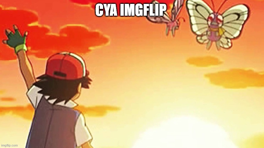 bye | CYA IMGFLIP | image tagged in bye bye butterfree,penis | made w/ Imgflip meme maker