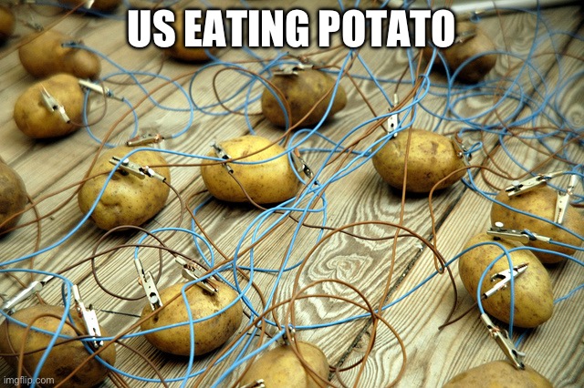potato servers | US EATING POTATO | image tagged in potato servers | made w/ Imgflip meme maker