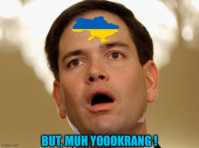 Yoo Krane For Life ! or Death | BUT, MUH YOOOKRANG ! | image tagged in little marco rubio,funny memes,memes | made w/ Imgflip meme maker