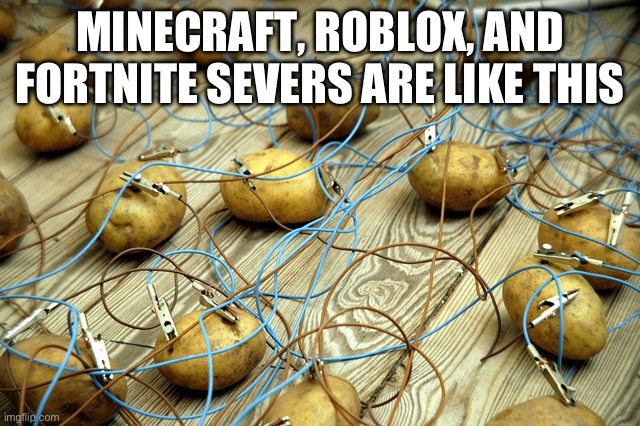 Severs in Vedic games | MINECRAFT, ROBLOX, AND FORTNITE SEVERS ARE LIKE THIS | image tagged in potato servers | made w/ Imgflip meme maker