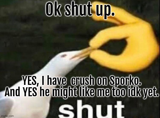 It's true. I love him :) | Ok shut up. YES, I have  crush on Sporko. And YES he might like me too idk yet. | image tagged in shut | made w/ Imgflip meme maker
