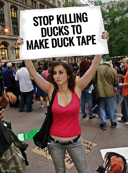 proteste | STOP KILLING DUCKS TO MAKE DUCK TAPE | image tagged in proteste | made w/ Imgflip meme maker