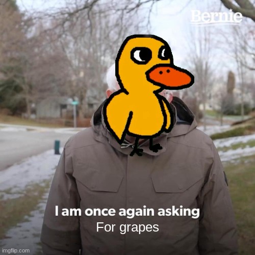 Bernie I Am Once Again Asking For Your Support Meme | For grapes | image tagged in memes,bernie i am once again asking for your support,the duck song | made w/ Imgflip meme maker
