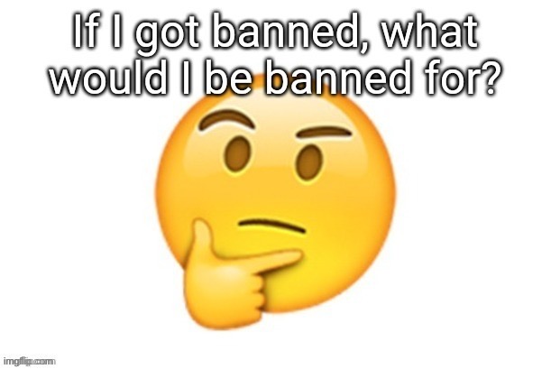 Pretty sure I wouldn’t be banned in the first place. | made w/ Imgflip meme maker