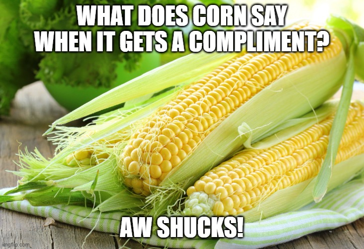 Daily Bad Dad Joke March 4, 2024 | WHAT DOES CORN SAY WHEN IT GETS A COMPLIMENT? AW SHUCKS! | image tagged in corn with husk | made w/ Imgflip meme maker