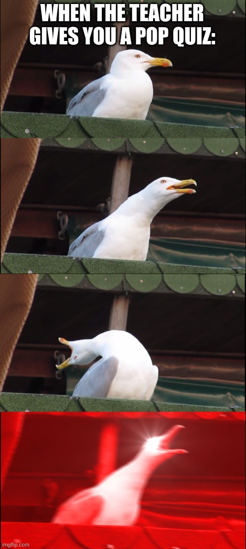 Inhaling Seagull Meme | WHEN THE TEACHER GIVES YOU A POP QUIZ: | image tagged in memes,inhaling seagull | made w/ Imgflip meme maker