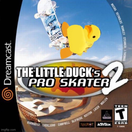 Tony Hawk Pro Skater | THE LITTLE DUCK | image tagged in tony hawk pro skater | made w/ Imgflip meme maker