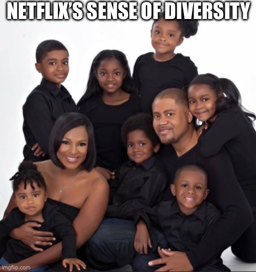 Netflix’s sense of diversity | NETFLIX’S SENSE OF DIVERSITY | image tagged in black family,memes,lol,politics,netflix,2024 | made w/ Imgflip meme maker