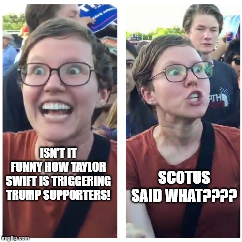 SJW Happy then Triggered | ISN'T IT FUNNY HOW TAYLOR SWIFT IS TRIGGERING TRUMP SUPPORTERS! SCOTUS SAID WHAT???? | image tagged in sjw happy then triggered | made w/ Imgflip meme maker