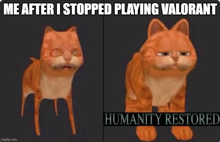 Valorant is kinda bad tbh | ME AFTER I STOPPED PLAYING VALORANT | image tagged in humanity restored | made w/ Imgflip meme maker