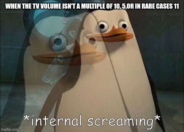 OCD moment. | WHEN THE TV VOLUME ISN'T A MULTIPLE OF 10, 5,OR IN RARE CASES 11 | image tagged in private internal screaming | made w/ Imgflip meme maker