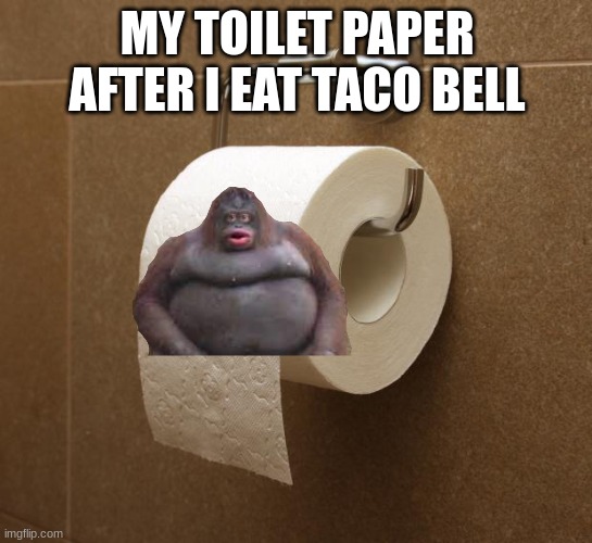 Toilet Paper | MY TOILET PAPER AFTER I EAT TACO BELL | image tagged in toilet paper | made w/ Imgflip meme maker