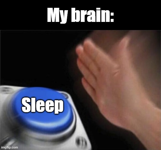 My brain: | My brain:; Sleep | image tagged in memes,blank nut button,why are you reading this | made w/ Imgflip meme maker