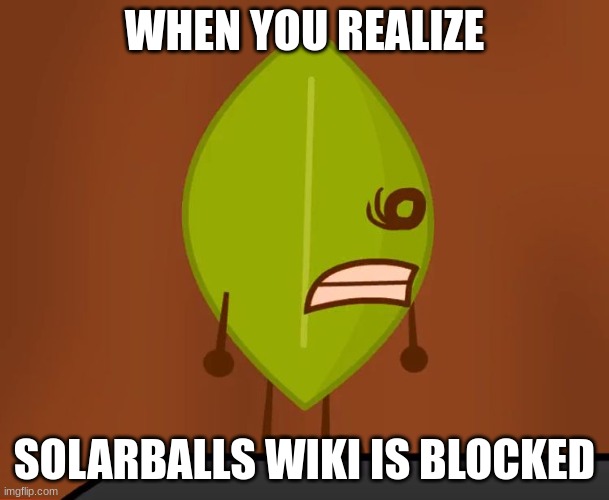 idk what to call this lmao | WHEN YOU REALIZE; SOLARBALLS WIKI IS BLOCKED | image tagged in bfdi wat face | made w/ Imgflip meme maker